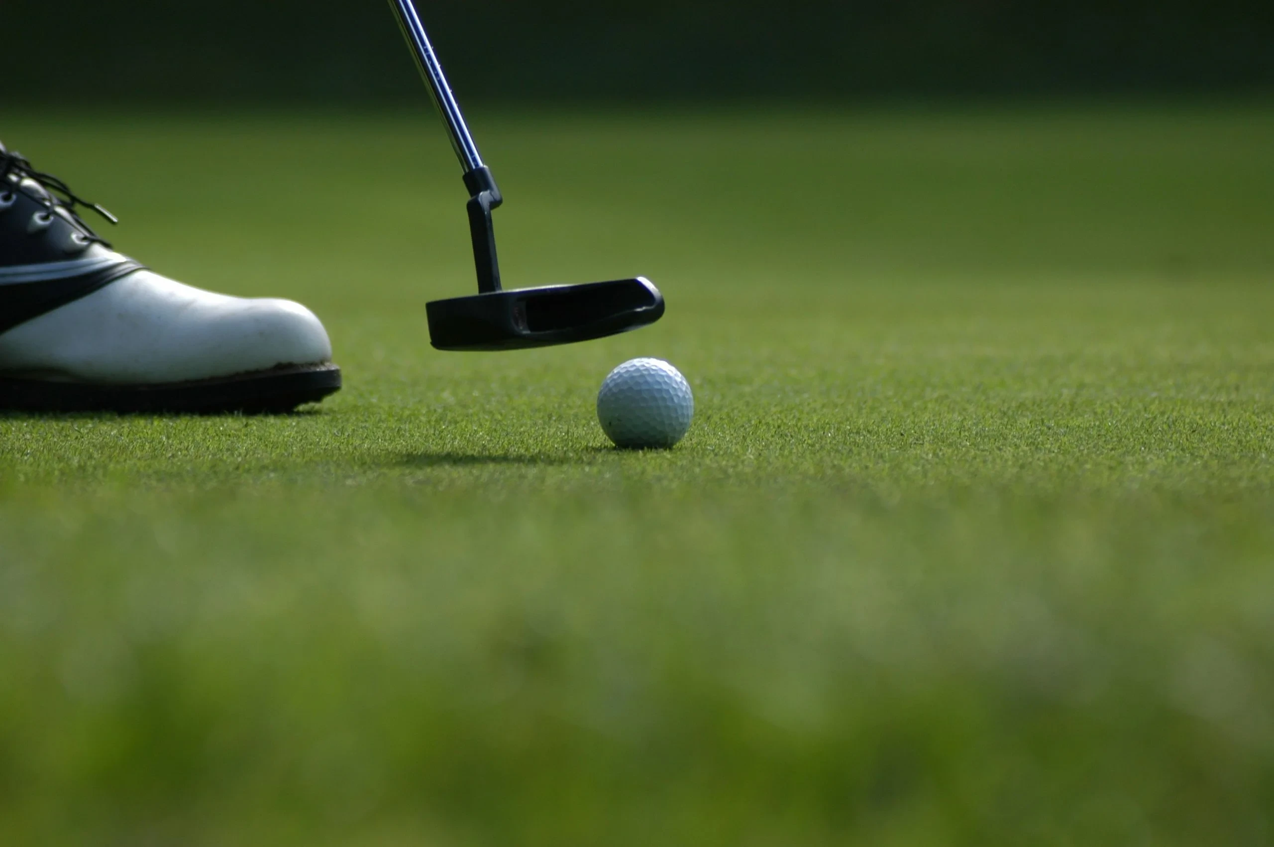 Balle de golf et putter sur le green